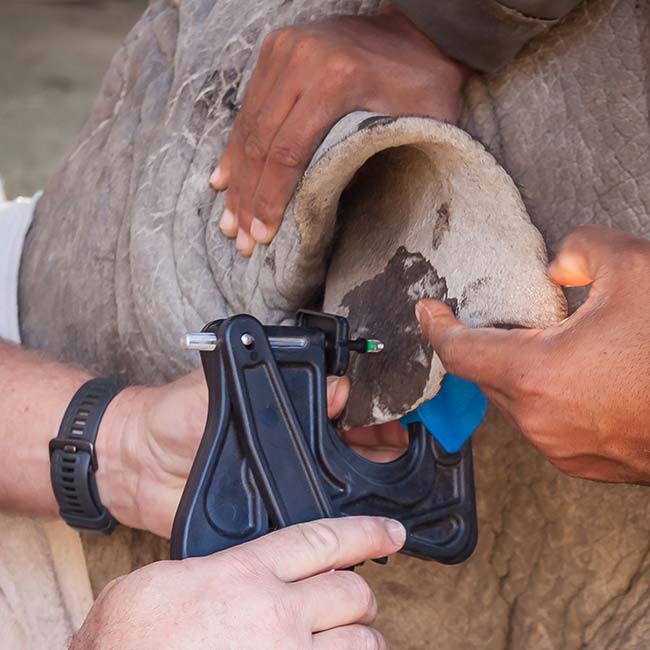 Conservation Technology R&D